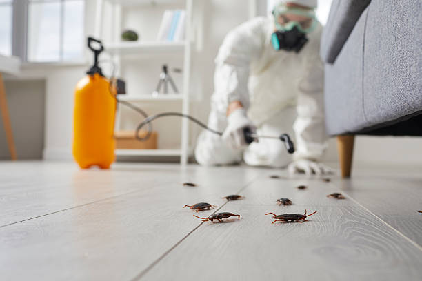 Trusted Cockroach Control service in Pascagoula, MS - Nex Pest Control
