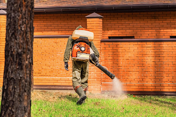 Trusted Emergency Pest Control service in Pascagoula, MS - Nex Pest Control